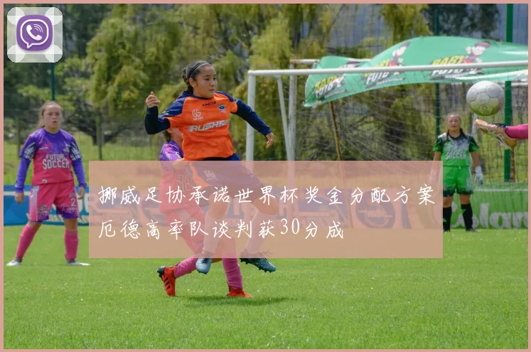 挪威足协承诺世界杯奖金分配方案厄德高率队谈判获30分成