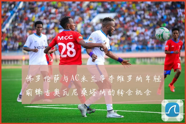 佛罗伦萨与AC米兰争夺维罗纳年轻前锋吉奥瓦尼桑塔纳的转会机会