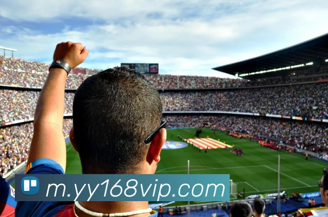 多媒体互动体验